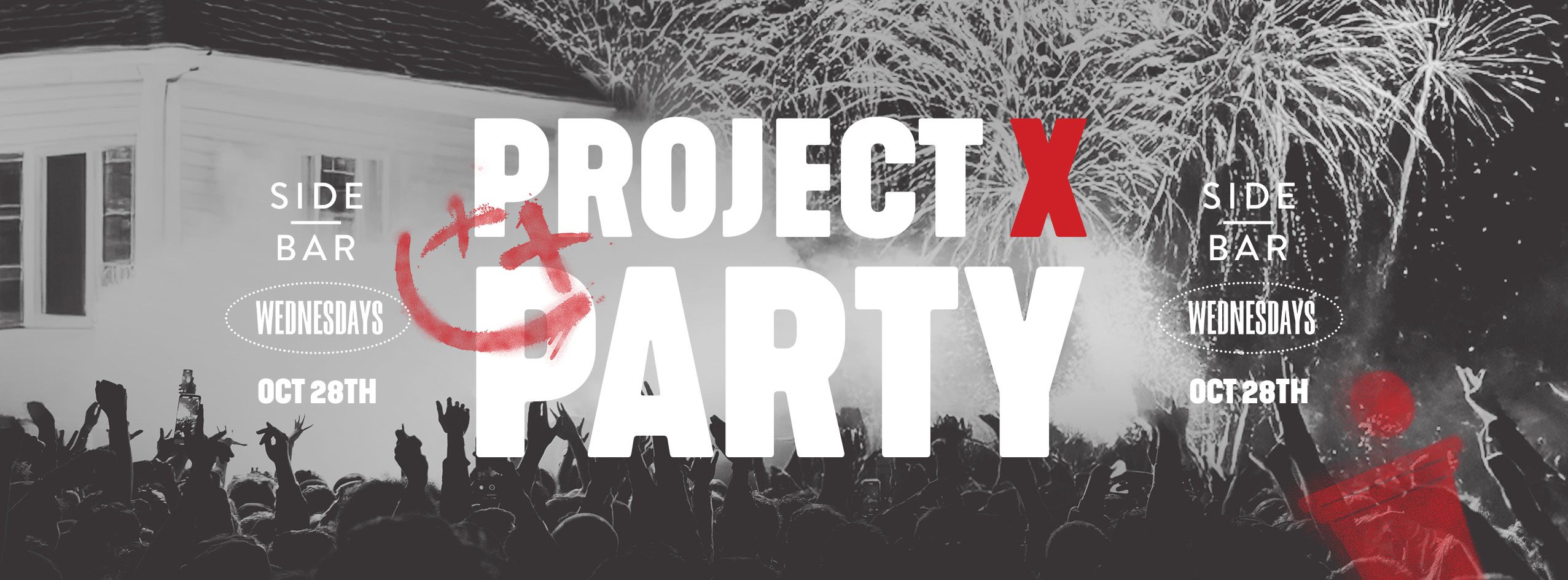 Project X Party